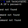 testing-ssh-user-chroot-jail.png