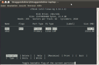  Dieser Screenshot zeigt, dass der komplette Festplattenspeicher, der dieser VM zugewiesen ist, zum einen für die Bootpartition und zum anderen für das LVM vergeben ist. 