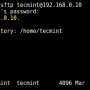 testing-sftp-ssh-user.png