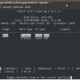 cfdisk.png